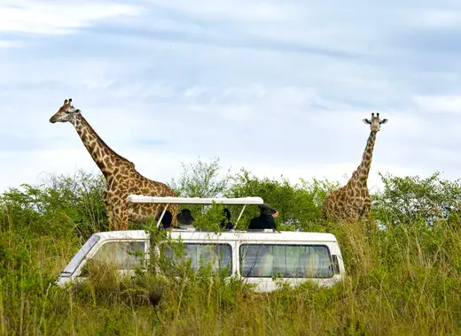 Safari Masai Mara e Praia em Zanzibar